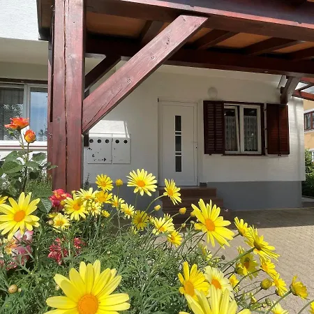 Iva Apartments Novigrad Istria Exterior foto